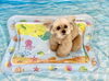 リルちゃん「波とわんこ🌊」