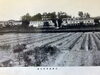 90年前の写真　山本唯三郎が、大正８年久米郡桑下に山本実業学校を開校、大正１０年、山本農学校に改称。「在りし日の山本農学校」