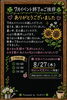 7月イベント盛況御礼、感謝の思いを込めて。「7月イベント終了のご挨拶と8/27(木)次回イベント予告」