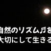 「自然のリズム」と眠り。キリ🌿で取り戻す、本来の休息