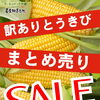 🌽🚗週末だけのお楽しみ。🚗🌽