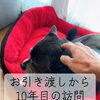 お引き渡しから10年。変わらない温かさと愛犬チョコちゃんとの時間