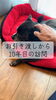 10年目の訪問、心温まる再会「お引き渡しから10年。変わらない温かさと愛犬チョコちゃんとの時間」