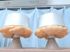 「7月31日（金）本日お休みです。」