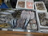 令和8年7月31日 店内「📣本日のお魚情報🐟」