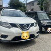 【西船橋ペットレンタカー】日帰りお出かけにぴったり♪シーン別おすすめ車種ガイド