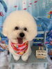 「🐬7月もありがとうございました！8月のご予約受付中です🐶✂️」