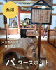 祈願成就 験担ぎに「魚沼の隠れたパワースポット！建碑とご利益いっぱいのお寺、永林寺。」