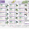 8月の飾り葉のご案内＊仕出しや会席料理の季節演出に【観音寺市＊食品卸＊業務用食品】