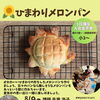 夏休み1日講座「ひまわりメロンパン」を作ろう！
