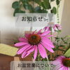 お盆期間の営業についてのお知らせ