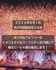 市川市民納涼花火大会「８/１（土）のイベント情報＠千葉県市川市のクラフトビール工場」
