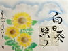 絵もすべて直書きの御朱印です「八月の月替特別御朱印『向日葵（ひまわり）照り』」