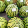 新居浜産スイカがずらり♪夏のデザートにいかがですか？