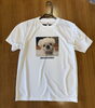 世界に一枚だけのオリジナルTシャツ「スマホ写真でつくる♪愛犬プリントTシャツはじめました」
