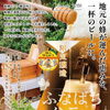 地元蜂蜜を使った限定ビール「ふなばちハニーエール」登場