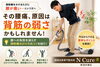 お掃除中の腰痛、背筋が原因かも「掃除機をかけていると腰が痛い…それ、背筋のサインかも？/新潟市東区 整体」