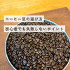 コーヒー豆の選び方｜初心者でも失敗しないポイント