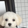 8月