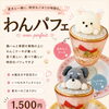 新しいメニュのお知らせ