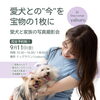 9/11開催！愛犬と家族の写真撮影会 in Dog Lounge yaburo