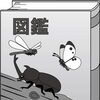 月3,800円から。愛媛県松山市の室内型トランクルーム・コンテナ・物置。図鑑編。