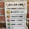 夏休みガチャガチャ企画♪景品の内容をご紹介します！