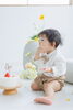 1才のお祝いといえばスマッシュケーキ🎂「毎年のバースデーフォトで、成長の記録を残しませんか？／和歌山市」