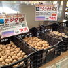 秋ジャガイモの種芋が販売開始しました