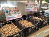 「秋ジャガイモの種芋が販売開始しました」