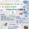 コラボイベントのお知らせ【江戸川区でこども・ファミリーの出張撮影をしています】