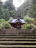 花園神社⛩️「⛩️花園神社でお参りしてきました⛩️」