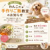 わんこの手作りご飯教室のご案内