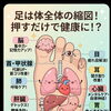 お盆の長時間運転で腰・首がつらい方へ｜霧島市でできるケアと対策