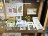 「帰省の手土産におすすめの舞鶴茶＆ご当地カレー」