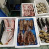 📣本日のお魚情報🐟