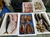 2026年8月3日 店内「📣本日のお魚情報🐟」