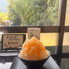 夏季限定！レッドメロンのかき氷はじめました