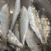 【魚も酒も自ら厳選する瑞江の小料理屋】 