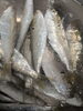 「【魚も酒も自ら厳選する瑞江の小料理屋】 」