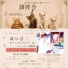 8/23 保護猫譲渡会会場で耳つぼリフレ＆ジュエリー体験会を行います