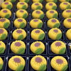 夏の和菓子