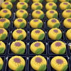 夏の和菓子