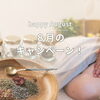 梅雨明け🌻ito.のキャンペーン❣️