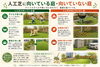 人工芝「🌿 第5回｜人工芝に向いている庭・向いていない庭｜後悔しない庭づくりのポイント」