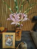 整体院    自然湧命会    施術室「『なんか、 どんどん元気になります ！』～人生を変える整体院～」