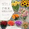 本日の生花入荷ラインナップのご案内