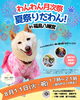 8月11日（火・祝）🐾わんわん月次祭「夏祭りだわん！」開催✨「8月11日（火・祝）🐾わんわん月次祭「夏祭りだわん！」開催✨ご祈祷＆ペットマルシェ＆フォトコンテスト開催🍉」