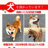 【西条市飯岡 1292番地付近】迷い犬を保護しています！（※西条IC入口近辺）