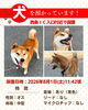 「【西条市飯岡 1292番地付近】迷い犬を保護しています！（※西条IC入口近辺）」